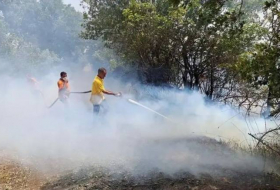 В нескольких провинциях Турции продолжаются лесные пожары
