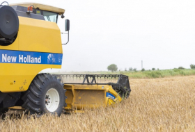 Министерство: Завершена уборка почти на 63% зерновых полей 