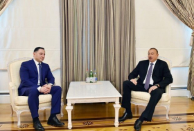 Ильхам Алиев принял главу Службы госбезопасности Грузии