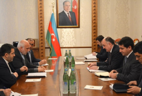 МИД: Формат Азербайджан-Иран-Турция служит обеспечению мира и стабильности в регионе