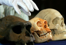 Найденные в Китае черепа опровергли теорию о появлении человека в Африке