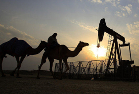 Саудовская Аравия приостановила подачу нефти в Бахрейн