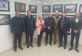 Азербайджанская делегация посетила Израиль - ФОТО