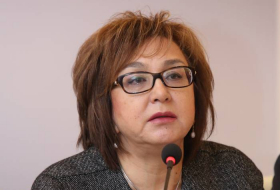 Малейка Аббасзаде: Следующий год будет напряженным для ГЭЦ
