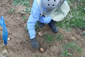 В Горанбое  обнаружена ручная граната