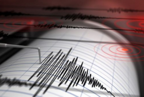 В Кыргызстане произошло землетрясение магнитудой 4,5 балла
