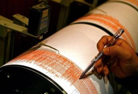 В Турции произошло землетрясение

