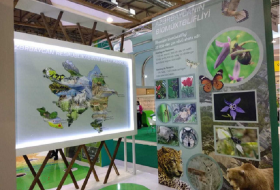 В Баку стартовала выставка Caspian Ecology