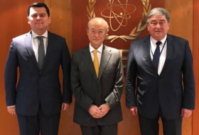 Делегация Узбекистана встретилась с главой МАГАТЭ Юкией Амано
