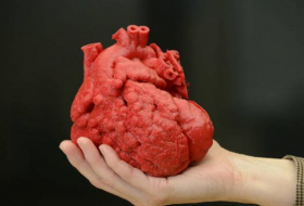Израильские ученые первыми в мире напечатали живое сердце на 3D-принтере
