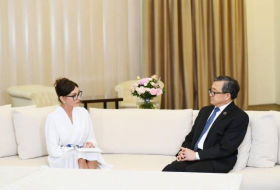 Первый вице-президент встретилась с заместителем генсека ООН - ФОТО
