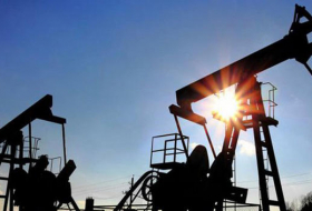 Добыча нефти в России выросла в июне на 0,8%

