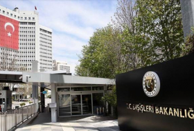 Зампосла США вызвали в МИД Турции из-за лайка в твиттере