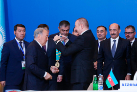  Какие важные приоритеты обозначены на саммите Тюркского совета в Баку?  
