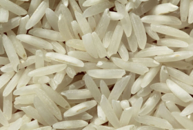 Азербайджанские ученые выявили связь между употреблением риса и распространением коронавируса
