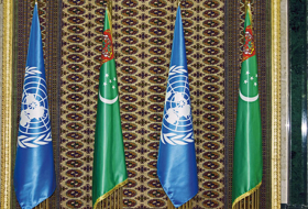 Туркменистан и другие государства-члены ООН обсудили финансовые проблемы, вызванные пандемией