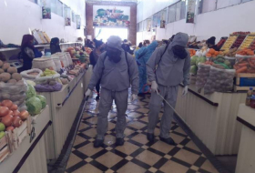 В Узбекистане за ночь выявлено 25 новых случаев заражения коронавирусом