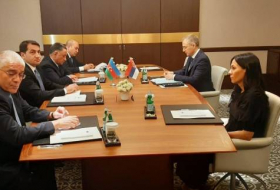 Проходит встреча между вице-премьером Сербии и азербайджанской делегацией - ФОТО

