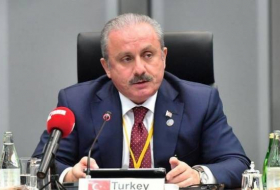 Мустафа Шентоп: Выборы в Турции завершатся в первом туре
