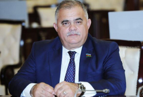 Депутат: Страны-поставщики вакцин хотят поставить  Азербайджан в зависимость, но у них это не получается