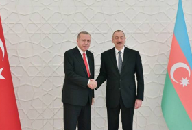 Президенты Азербайджана и Турции обсудили ситуацию в Казахстане
