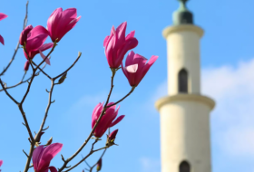 Имама брюссельской мечети лишили вида на жительство