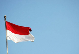 Новая столица Индонезии будет называться Нусантара
