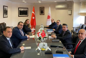 МИД Турции и Грузии обсудили региональную безопасность
