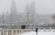 Завтра в Баку выпадет снег
