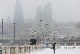 Завтра в Баку выпадет снег
