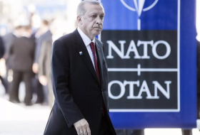 Президент Ближневосточного форума Пайпс призвал исключить Турцию из НАТО