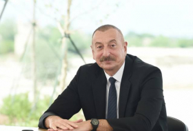 Президенту Азербайджана был представлен генеральный план Кяльбаджара
