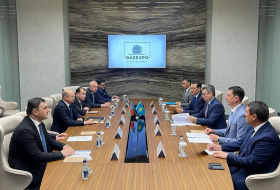 Пярвиз Шахбазов встретился с казахстанским министром