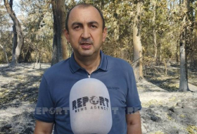 Замминистра: Виновники пожара в Хачмазе должны быть наказаны
