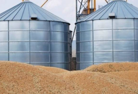 Туркменистан построит элеватор для хранения казахстанской пшеницы
