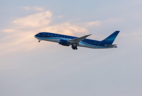 Самолет Баку-Анталья вернулся в аэропорт по техническим причинам