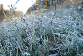 В 7 регионах Казахстана ожидаются заморозки в ближайшие дни
