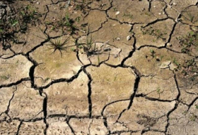 Власти объявили о наступлении засухи в нескольких районах Англии

