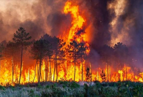 В российском регионе приготовились эвакуировать жителей из-за природных пожаров

