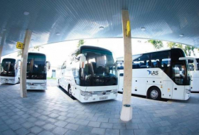Узбекистан запустил автобусные рейсы из Ташкента в Нижний Новгород
