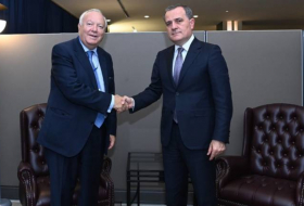 Глава МИД Азербайджана встретился с Верховным представителем Альянса цивилизаций ООН
