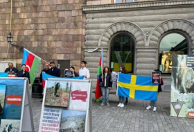 В Швеции азербайджанская диаспора провела пикет в знак протеста против провокаций Армении
