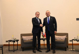Глава МИД Азербайджана встретился в Польше с турецким коллегой
