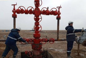 Стало известно, на сколько лет Узбекистану хватит нефти и газа

