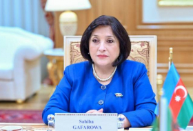 Спикер: Сотрудничество парламентских комитетов Азербайджана и Туркменистана внесет вклад в развитие отношений
