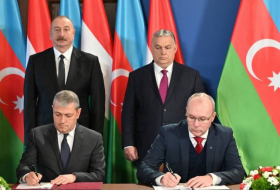 ТЮРКСОЙ: Дружественные связи между Шушой и Веспремом расширят культурные связи тюркского мира с Европой

