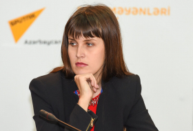 Дарья Гревцова: «В канун Нового года Россия выступила против антиазербайджанской резолюции в СБ ООН»
