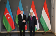 Президент Ильхам Алиев и премьер-министр Венгрии Виктор Орбан провели встречу в узком составе -ФОТО
