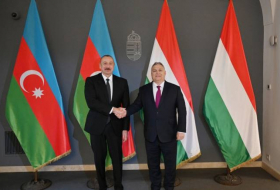 Президент Ильхам Алиев и премьер-министр Венгрии Виктор Орбан провели встречу в узком составе -ФОТО

