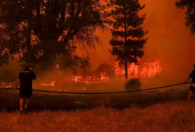 Не менее 23 человек погибли в Чили из-за лесных пожаров
